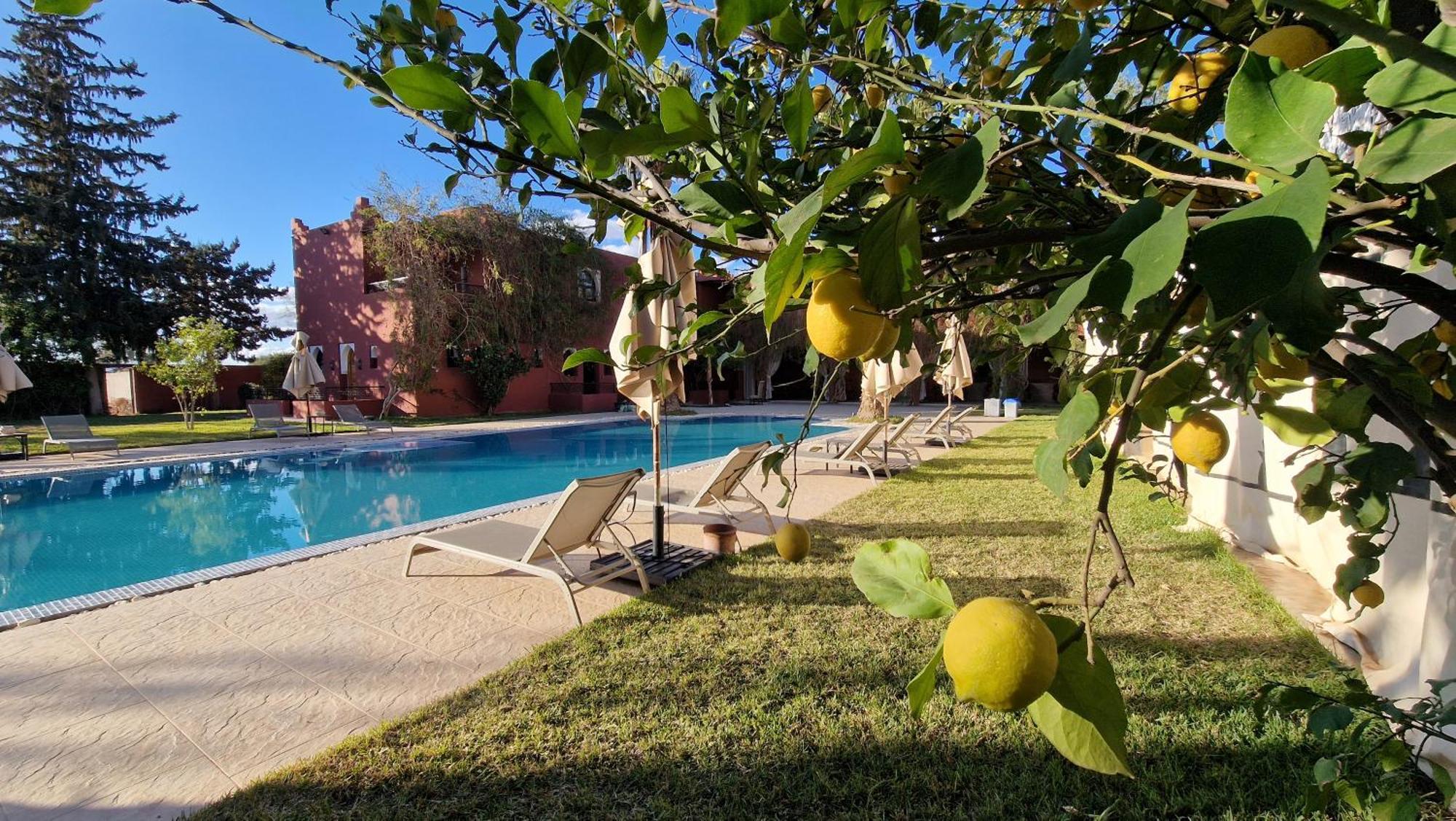 Palace Africa - Marrakech Palmeraie Dar Ilham Douar Blidene Dış mekan fotoğraf